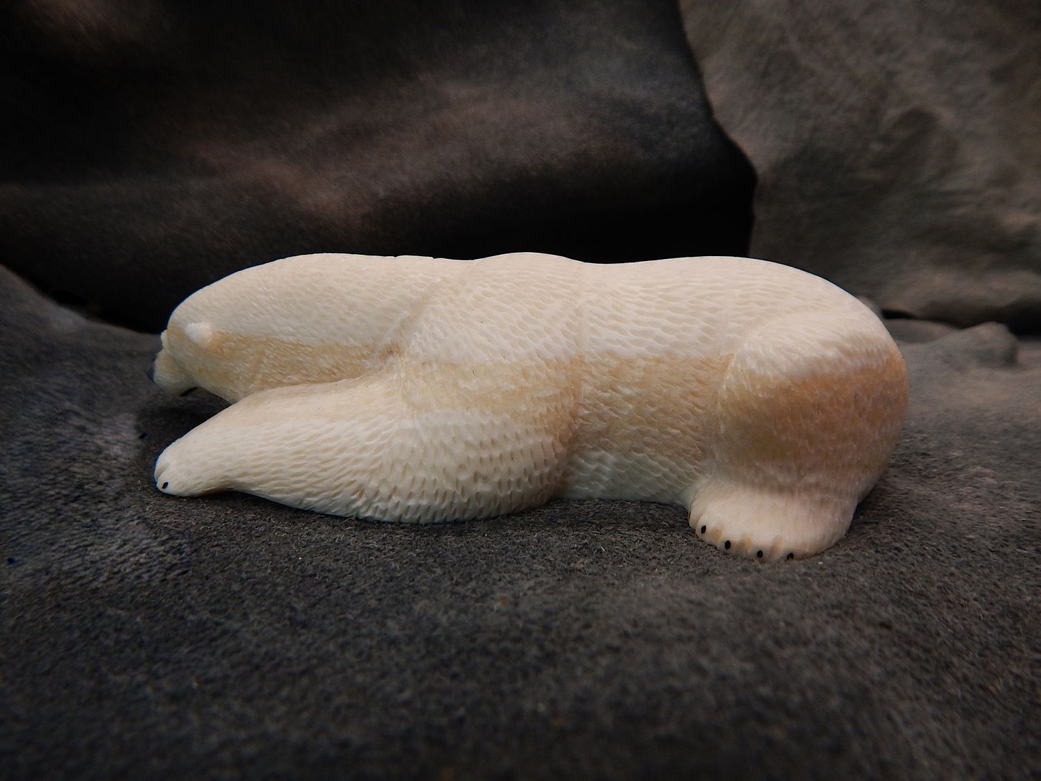 Polar Bear on New Ice