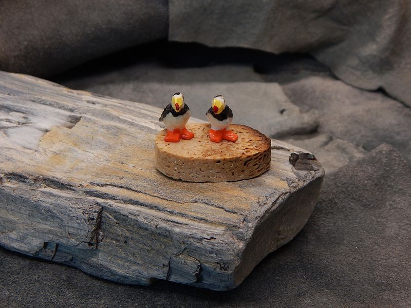 Puffin Pair on Fossil Walrus Jawbone