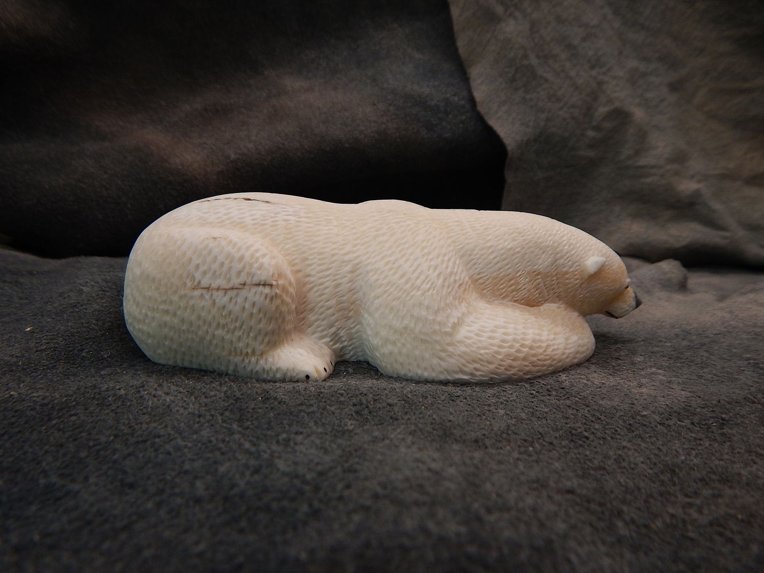 Polar Bear on New Ice