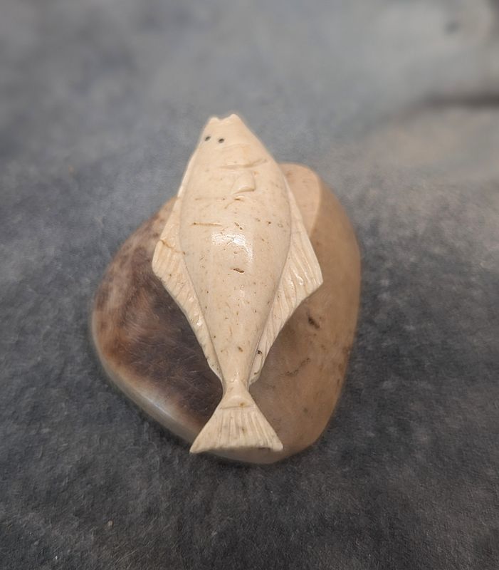 Fossilized Walrus Jawbone Halibut