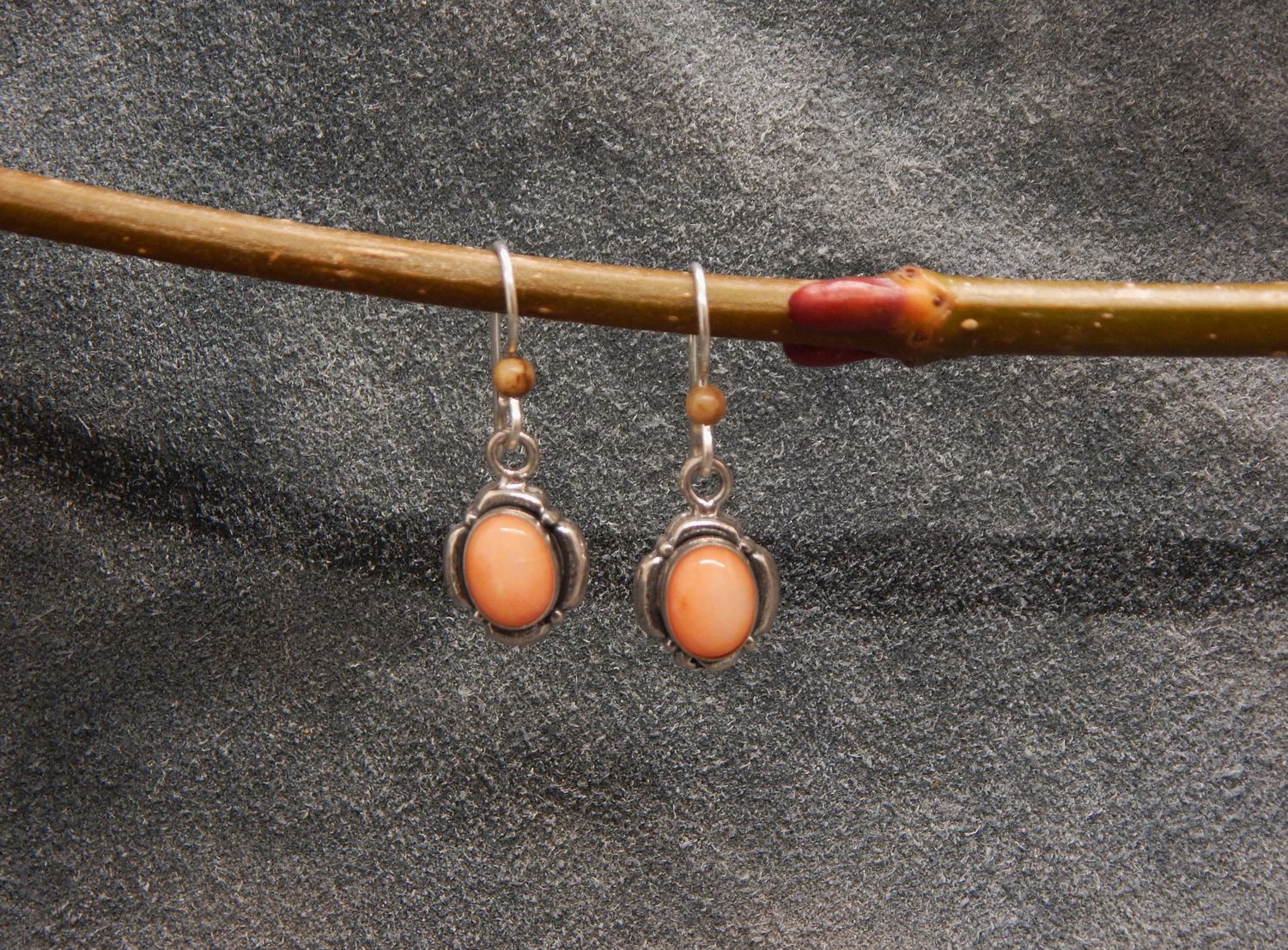 Spiny Oyster Clover Framed Earrings