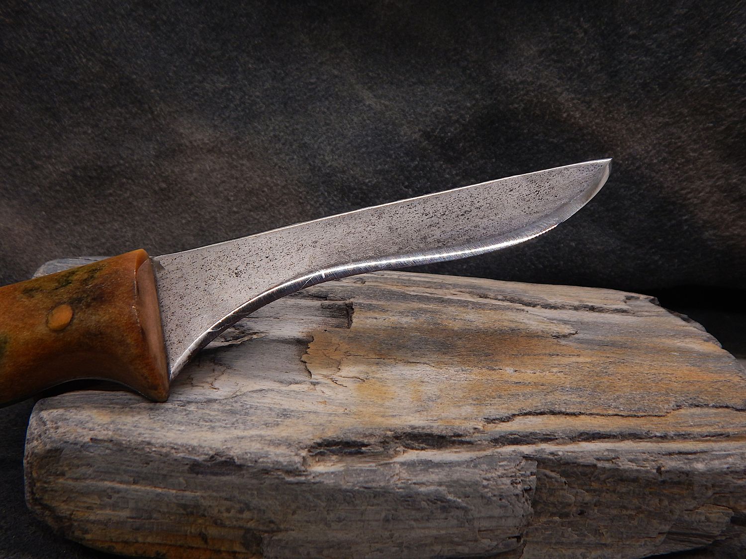 High-Carbon Steel and Shed Caribou Antler Steak Knife