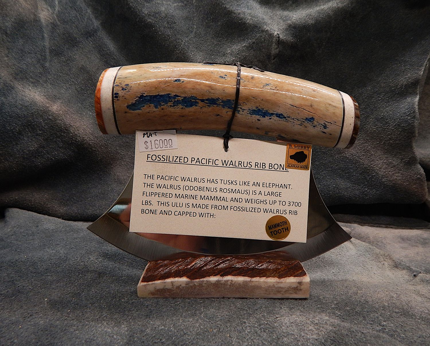 Fossilized Pacific Walrus Rib Bone &amp; Woolly Mammoth Tooth Ulu