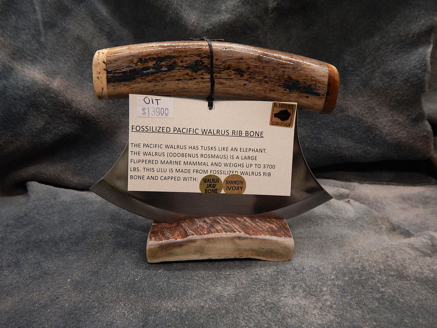 Fossil Walrus Rib Bone With Fossil Walrus Jawbone &amp; Mammoth Ivory