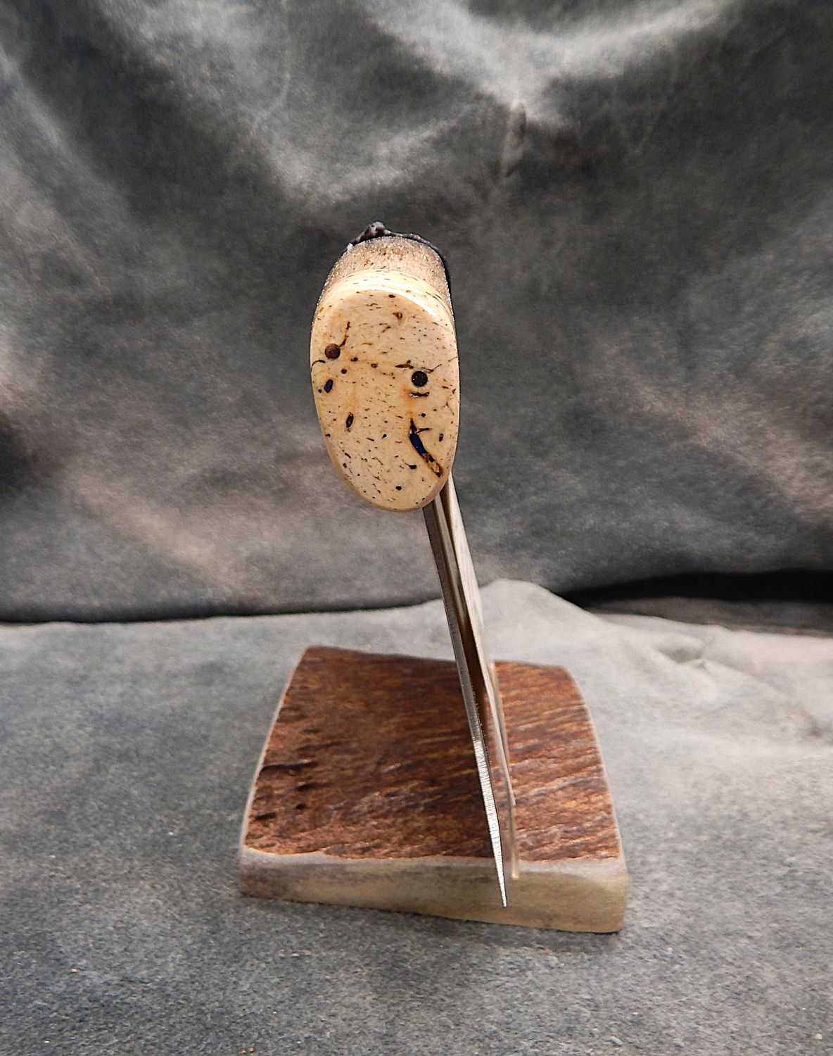 Fossil Walrus Rib Bone With Fossil Walrus Jawbone &amp; Mammoth Ivory