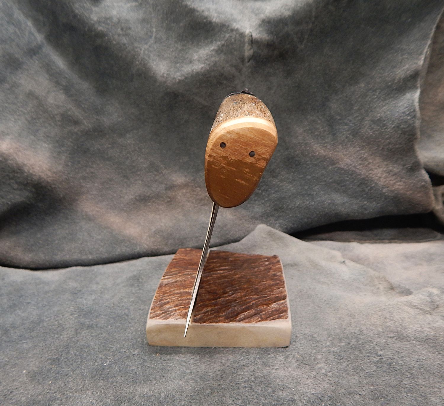 Fossil Walrus Rib Bone With Fossil Walrus Jawbone &amp; Mammoth Ivory