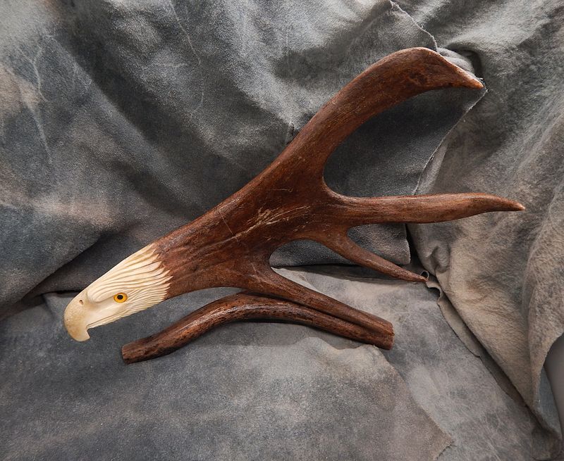 Shed Caribou Antler Eagle on Stand