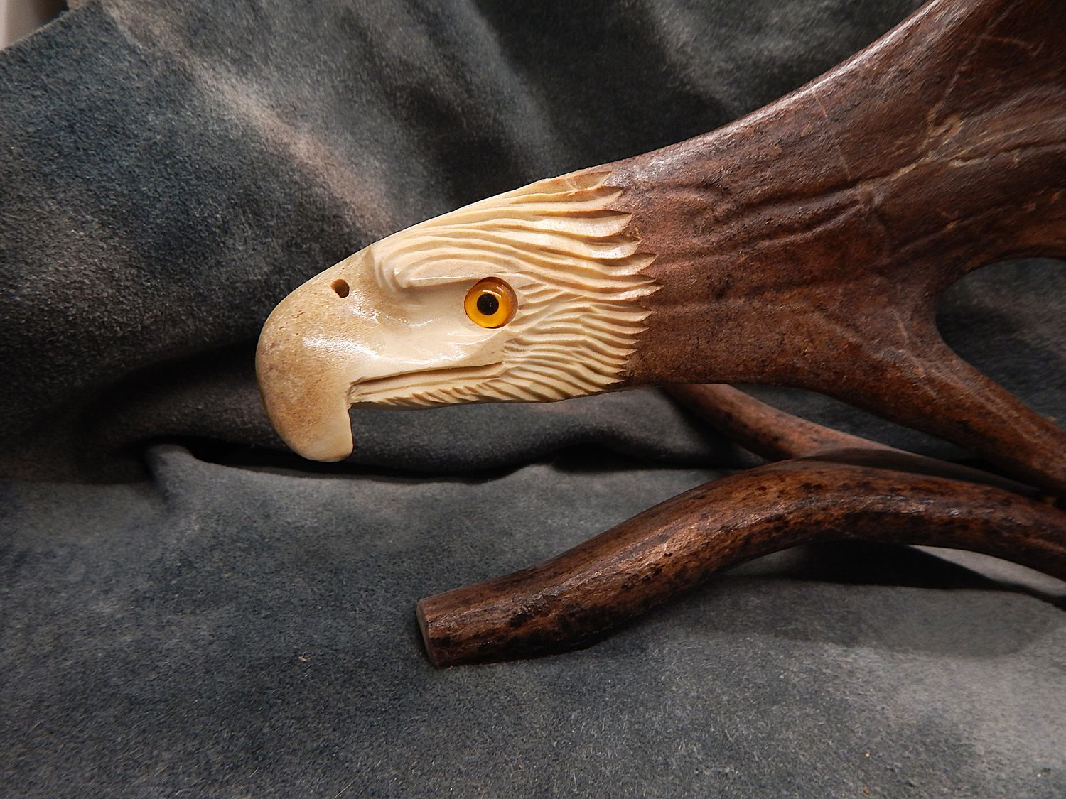 Shed Caribou Antler Eagle on Stand