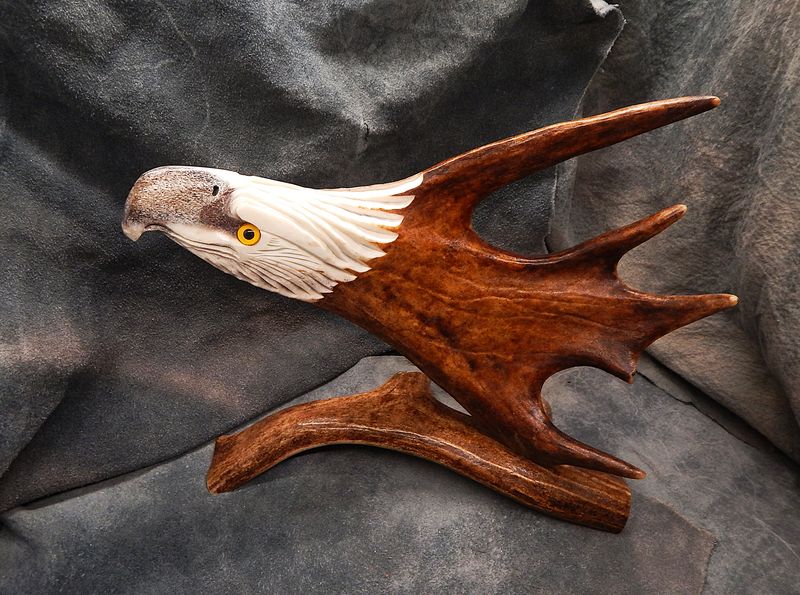 Shed Caribou Antler Eagle on Stand