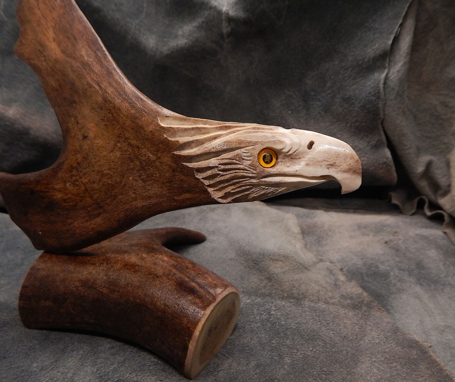 Shed Caribou Antler Eagle on Stand
