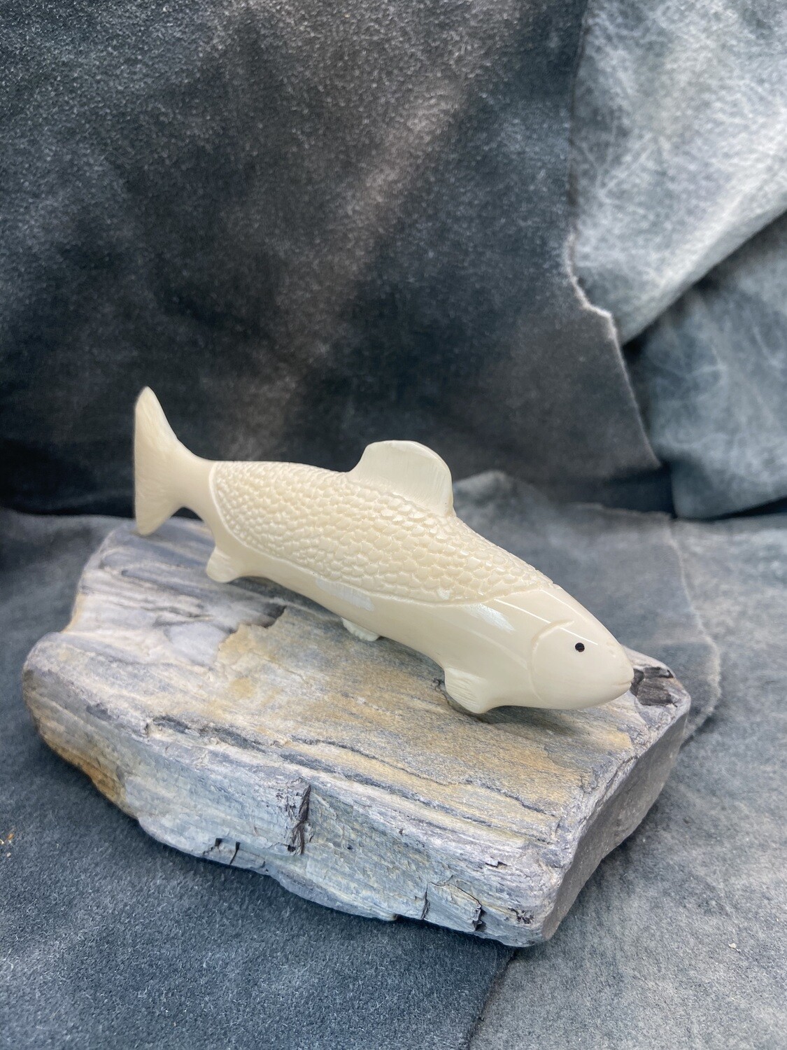 Salmon