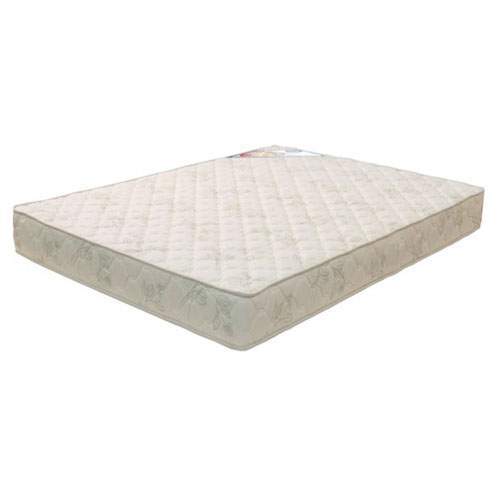Castor D33 Sleep Selado