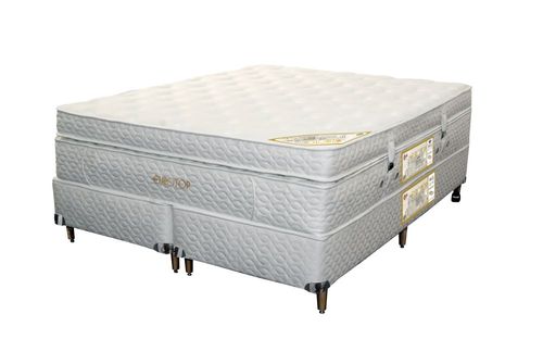 Castor Eurotop