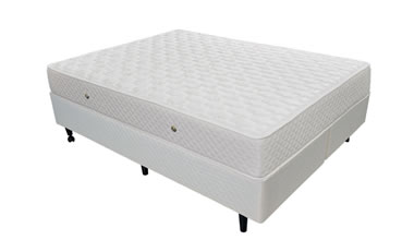 Diletto Elite Bonel