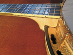 For banjo players...