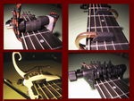 Partial Capos