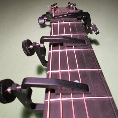 Liberty &quot;FLIP&quot; capos