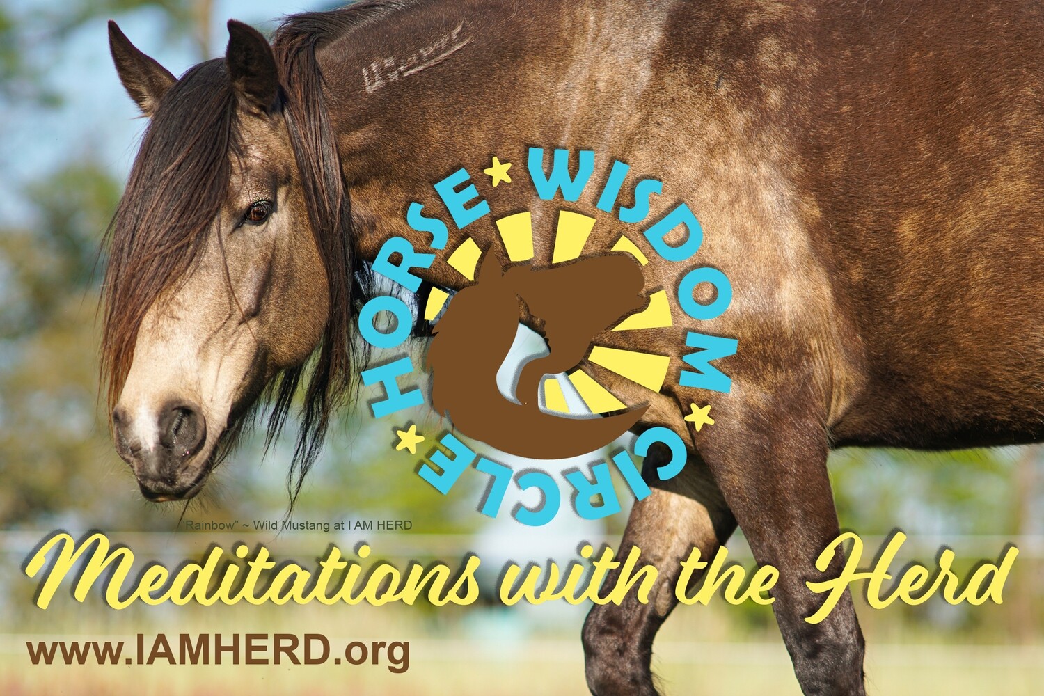Horse Wisdom Circle: Meditations with the Herd ~ March 17th, 2024 @ 3:00 PM