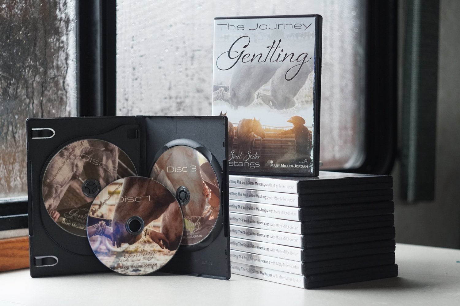 DVD 3 Disc Set - Journey Gentling the Soul Sister Mustangs