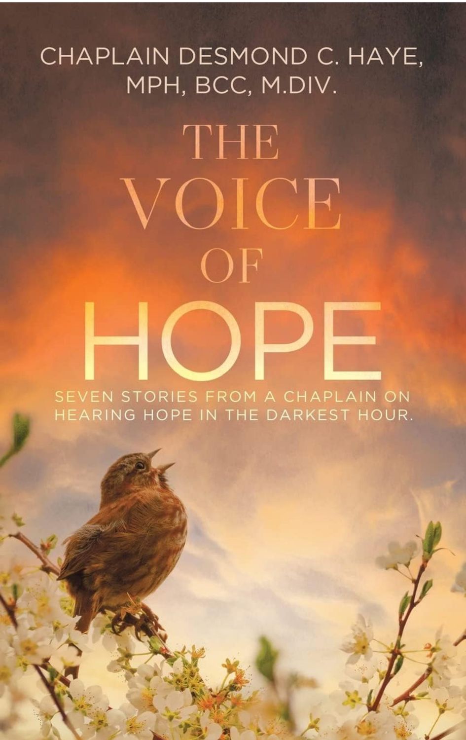 The Voice Of Hope