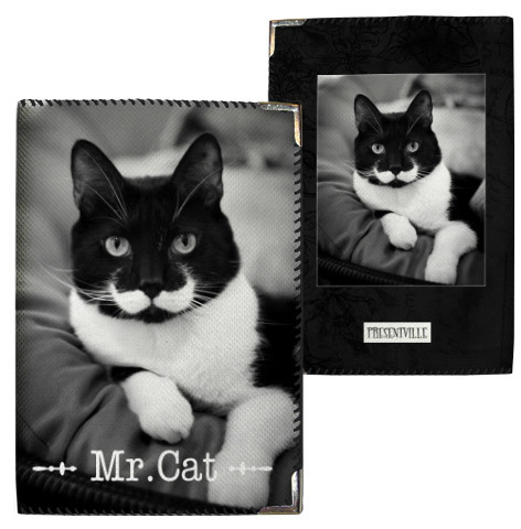Обложка на паспорт Mr. Cat
