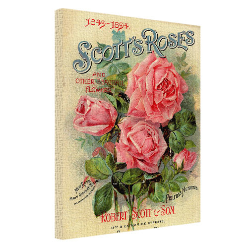 Картина на ткани, 45х65 см Scott`s Roses