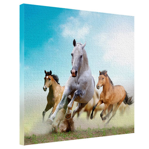 Картина на ткани, 65х65 см Лошади бегут