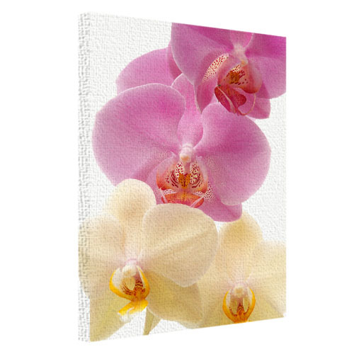 Картина на ткани, 45х65 см Орхидеи