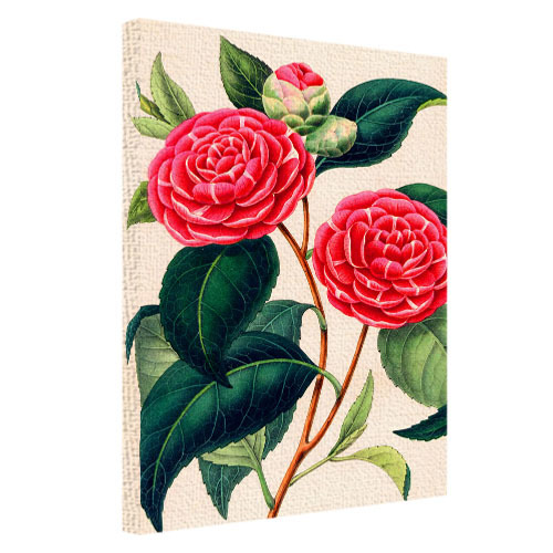 Картина на ткани, 45х65 см Garden roses
