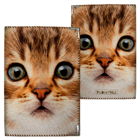 Обложка на паспорт Кот