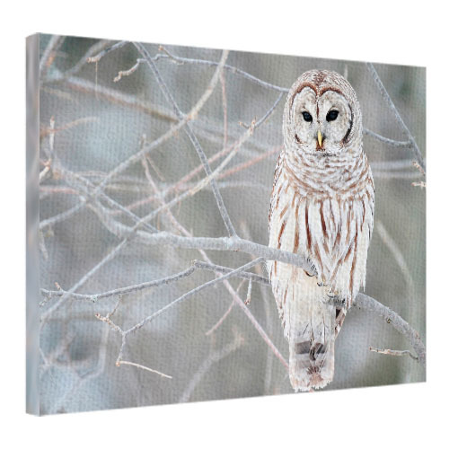 Картина на ткани, 45х65 см Белая сова в зимнем лесу