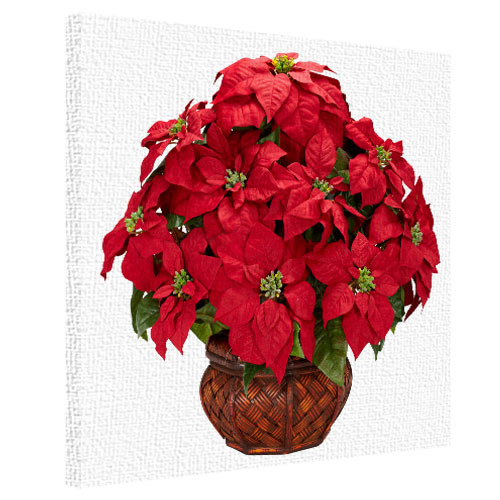 Картина на ткани, 50х50 см Цветок рождественник