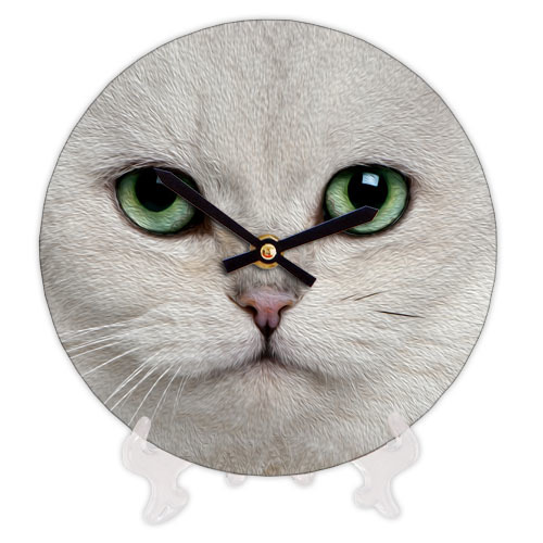 Часы настенные круглые, 18 см Белый хмуры кот