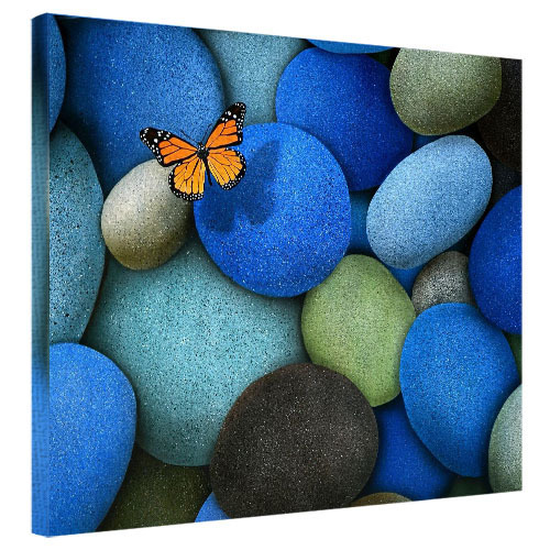 Картина на ткани, 40х50 см Бабочка
