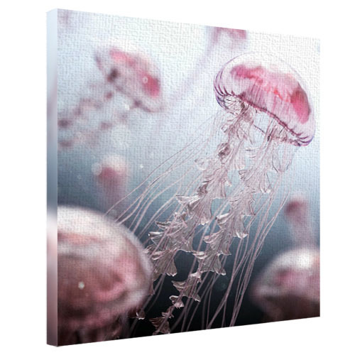 Картина на ткани, 65х65 см Медузы