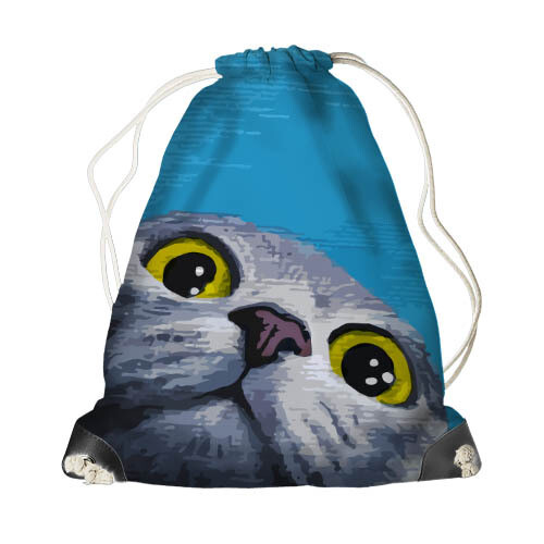 Рюкзак-мешок MINI Перепуганная кошка