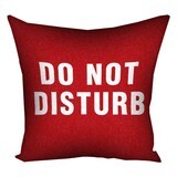 Наволочка для подушки 30х30 см Do not disturb