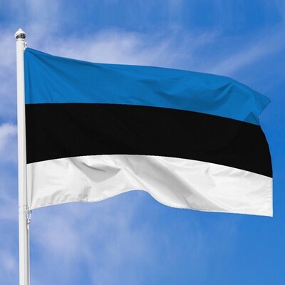Тканинний прапор Естонії, 100х50 см