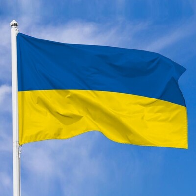 Прапор України, 100х50 см