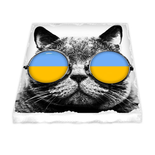 Магнит керамический Кот в очках