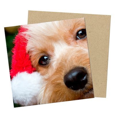 Маленькая открытка Собачка в новогодней шапочке