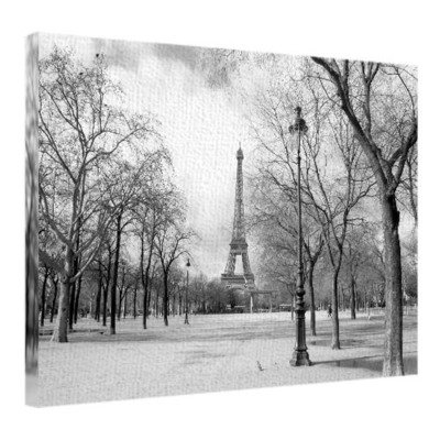 Картина на тканині, 45х65 см Зима в Парижі