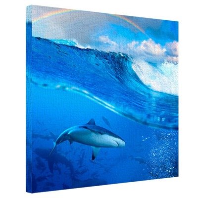 Картина на тканині, 50х50 см Акула
