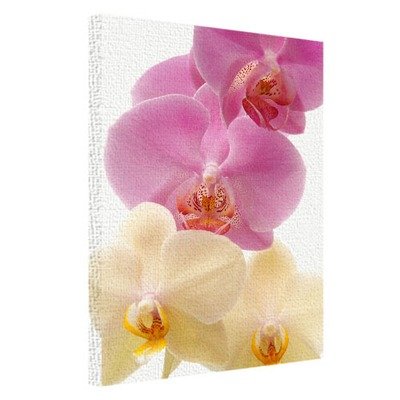 Картина на тканині, 45х65 см Орхідеї