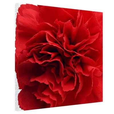 Картина на тканині, 50х50 см Червона гвоздика