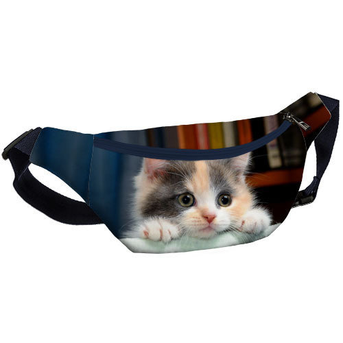 Сумка бананка BUMBAG Милый котенок Сумка бананка BUMBAG Милый котенок