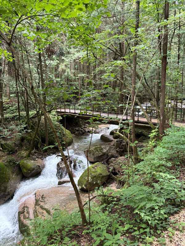 🏔️The Nakasendo Hiking Trail