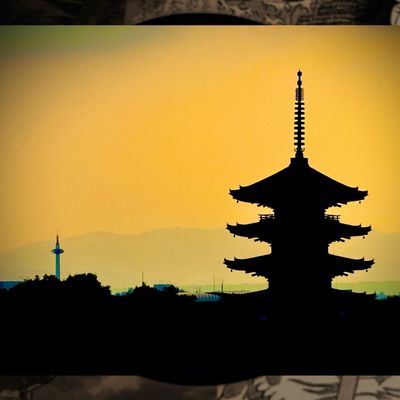 🌸 VIP Custom Japan Tour: Tailored Elegance &amp; Immersive Discovery