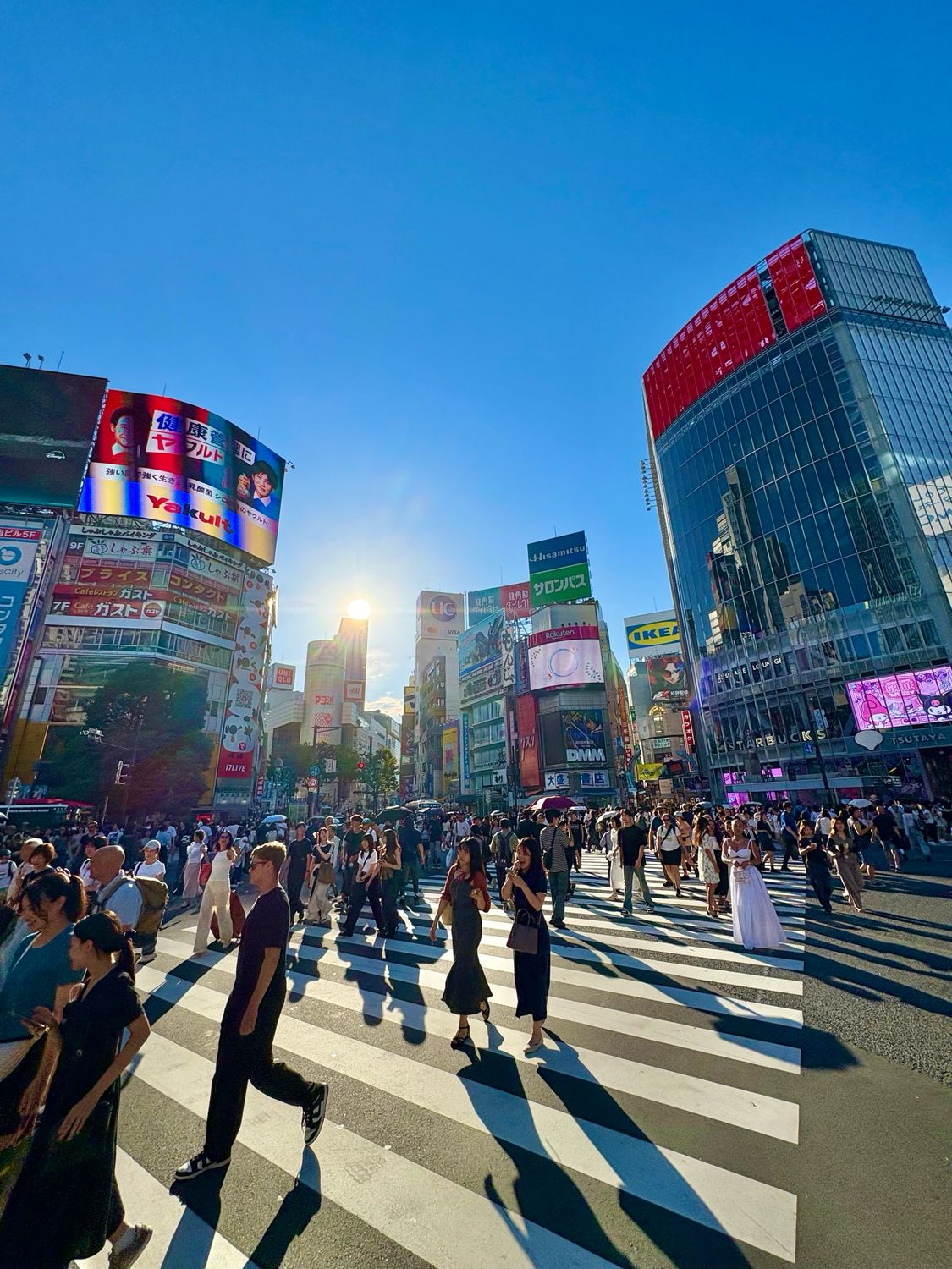 🎌 Japan Essentials Package