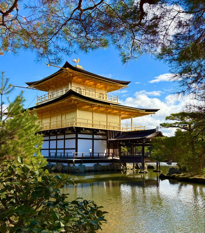 🗾 Legacy Journey: 8-Day Multi-Region Route